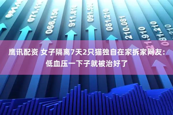 鹰讯配资 女子隔离7天2只猫独自在家拆家网友：低血压一下子就被治好了