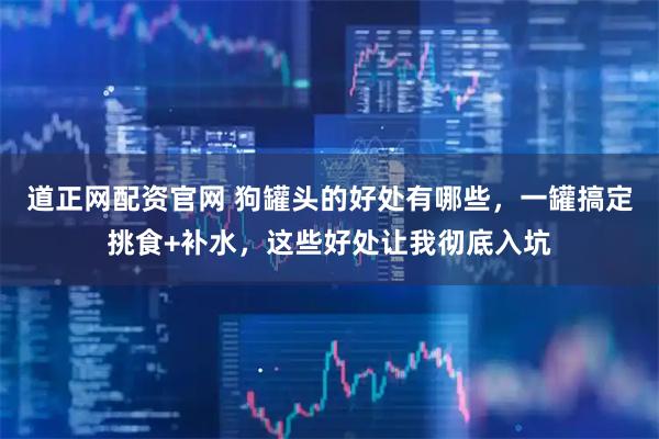 道正网配资官网 狗罐头的好处有哪些，一罐搞定挑食+补水，这些好处让我彻底入坑