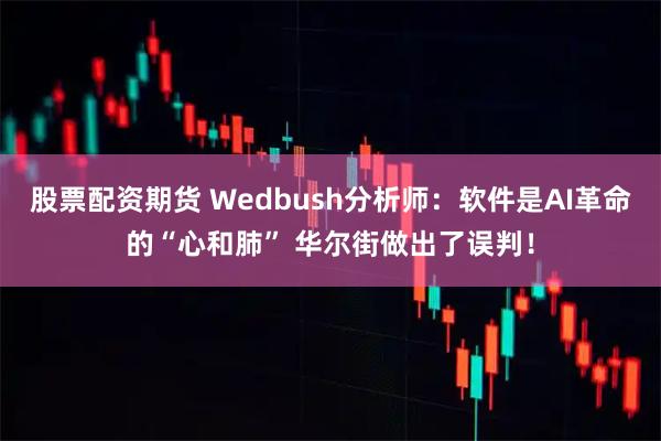 股票配资期货 Wedbush分析师：软件是AI革命的“心和肺” 华尔街做出了误判！